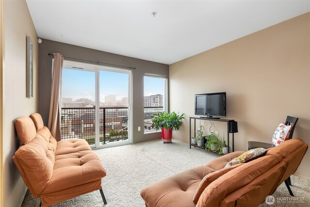 living area with baseboards and carpet