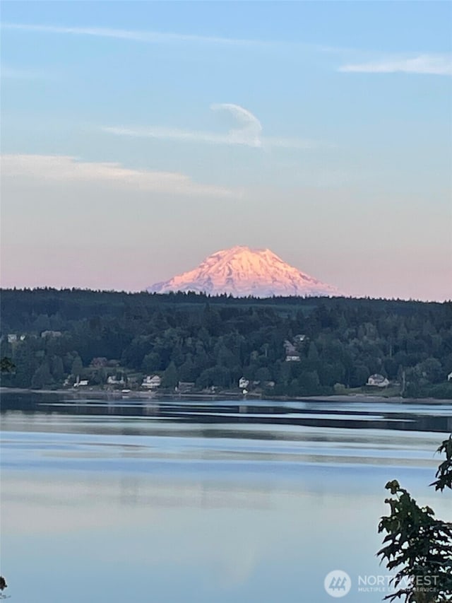 mountain view with a large body of water and a forest