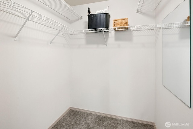 323 Queen Anne Ave N Unit 508, Seattle, WA 98109 - spacious closet featuring carpet floors