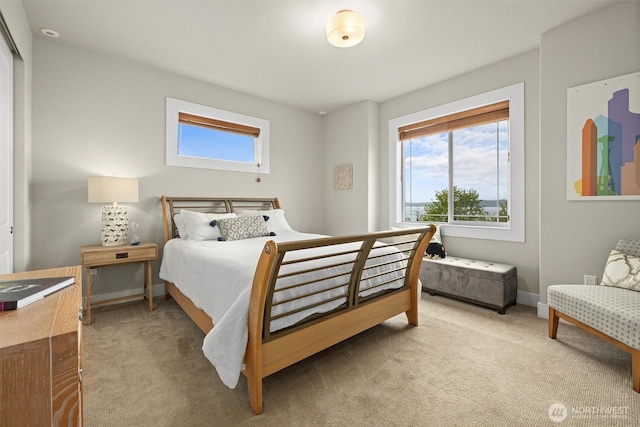 bedroom featuring carpet floors, baseboards, and multiple windows