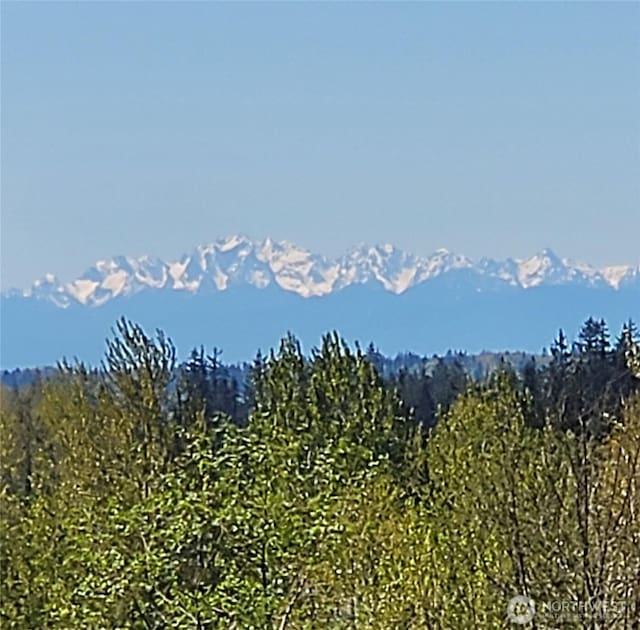 view of mountain feature with a view of trees