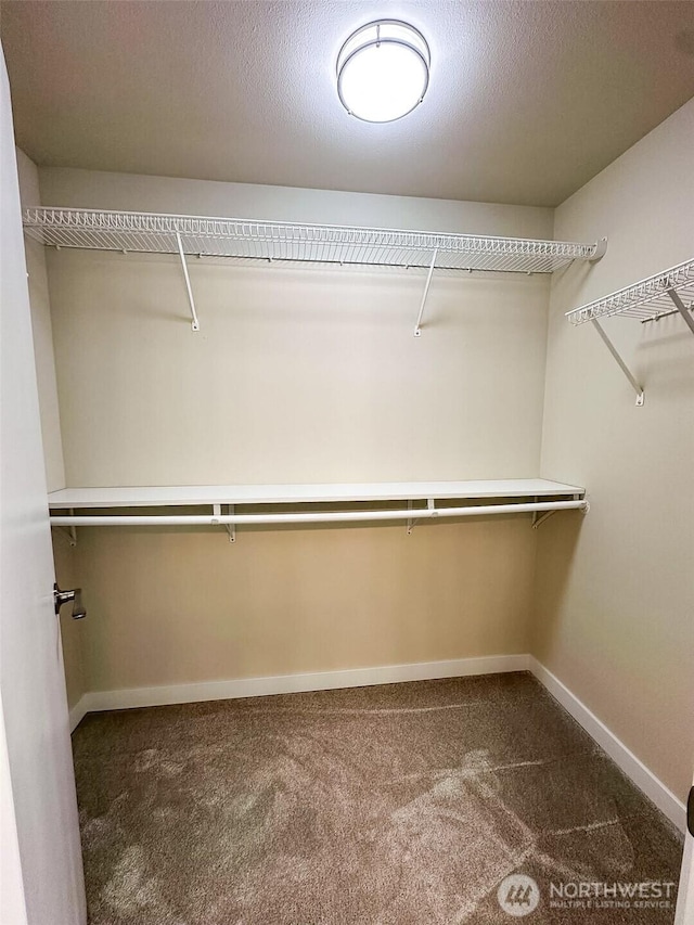 walk in closet with carpet