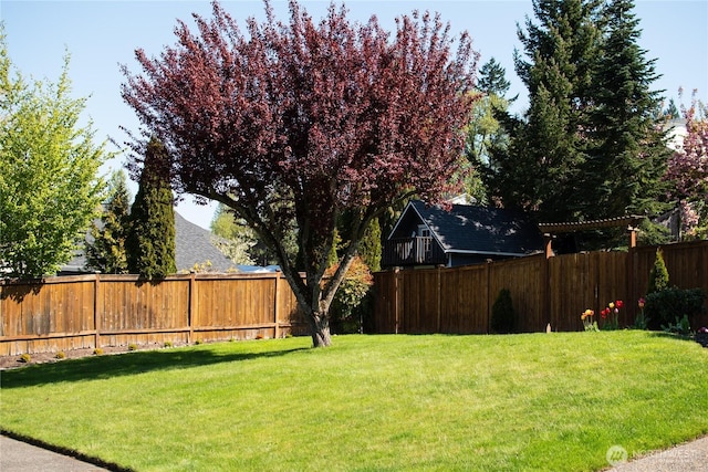 view of yard with a fenced backyard