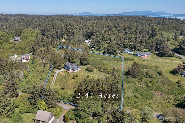 drone / aerial view featuring a wooded view and a mountain view
