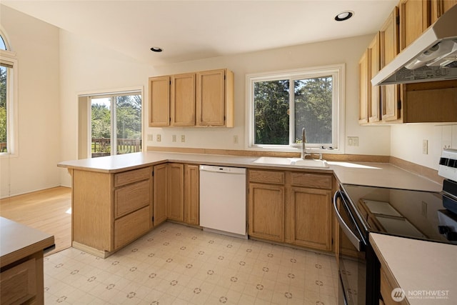 kitchen featuring white dishwasher, plenty of natural light, a sink, and under cabinet range hood