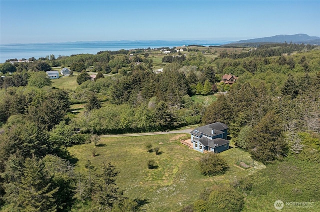 bird's eye view with a wooded view