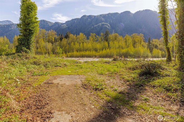 0 State Route 2, Index, WA 98256 - photo 4