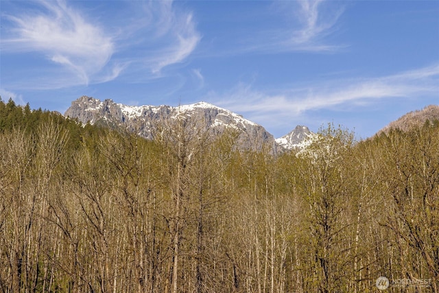 0 State Route 2, Index, WA 98256 - photo 8