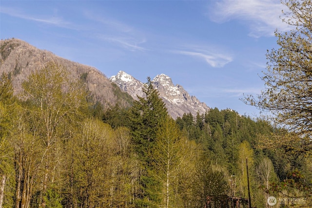 0 State Route 2, Index, WA 98256 - photo 9