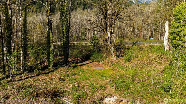 0 State Route 2, Index, WA 98256 - photo 24