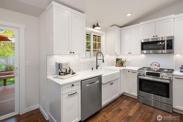 kitchen with backsplash, stainless steel appliances, and a wealth of natural light