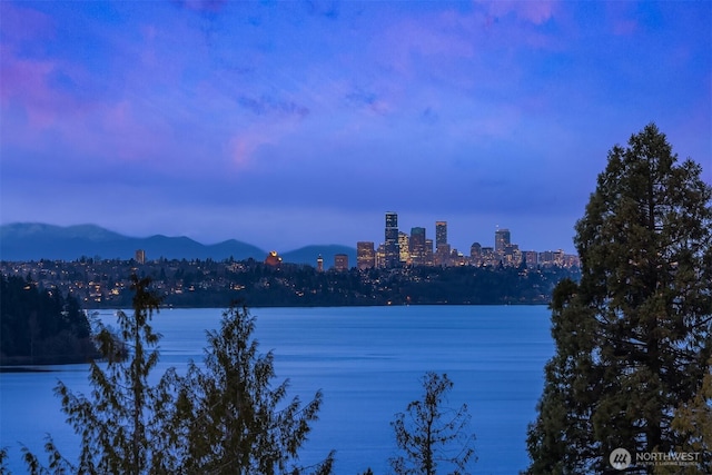 5340 W Mercer Way, Mercer Island, WA 98040 - water view with a view of skyline