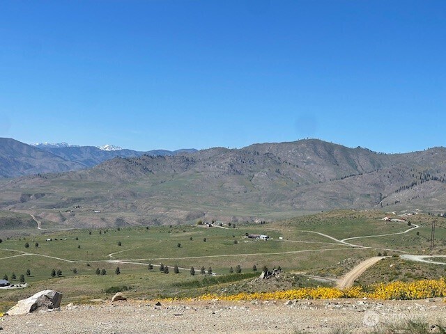 0 Cowboy Rd, Pateros, WA 98846