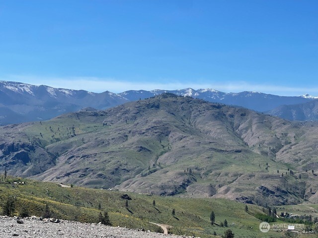 0 Cowboy Rd, Pateros, WA 98846