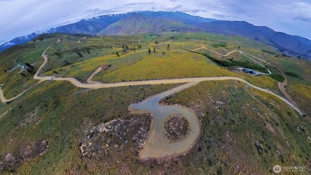 0 Cowboy Rd, Pateros, WA 98846