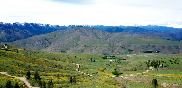 0 Cowboy Rd, Pateros, WA 98846