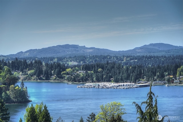 3142 Sahali Dr NE, Bremerton, WA 98310 - water view with a mountain view and a wooded view