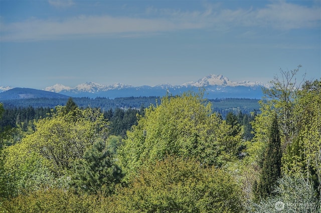 3142 Sahali Dr NE, Bremerton, WA 98310 - property view of mountains featuring a wooded view
