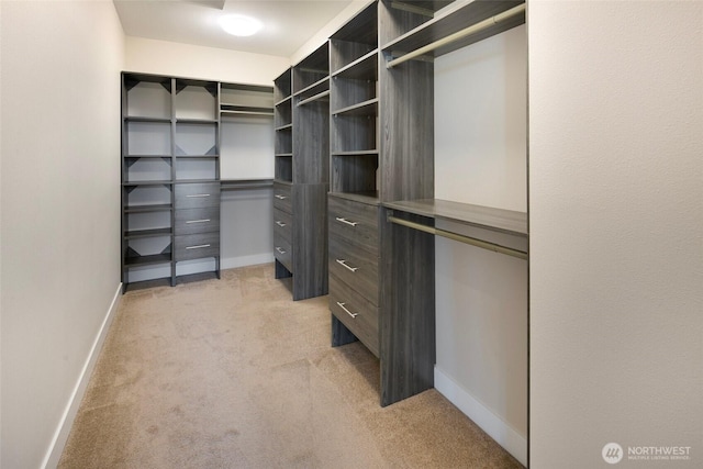 walk in closet featuring light colored carpet