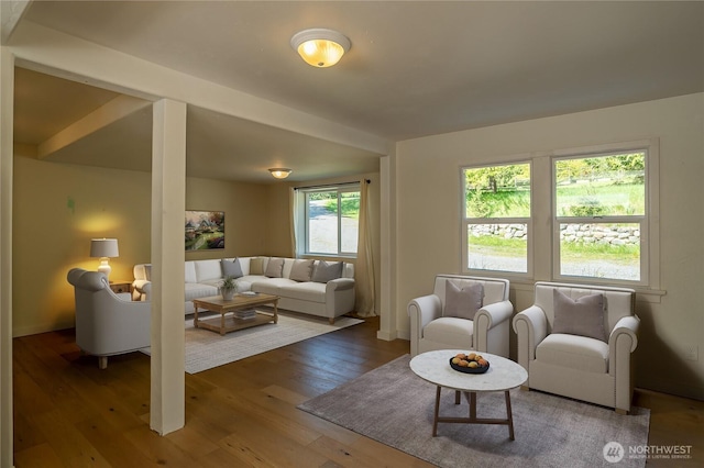 living area featuring hardwood / wood-style floors