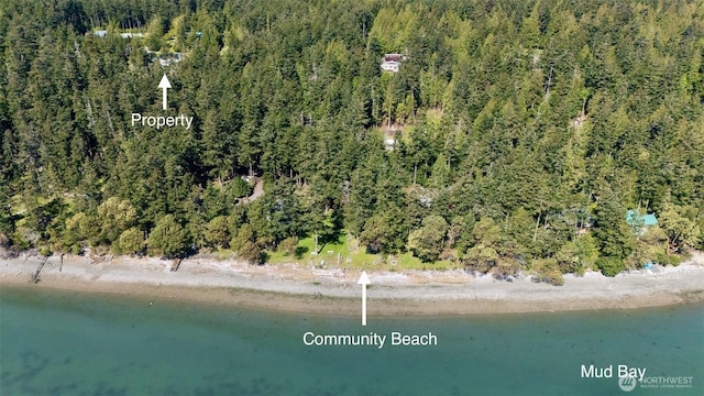 drone / aerial view with a wooded view and a water view