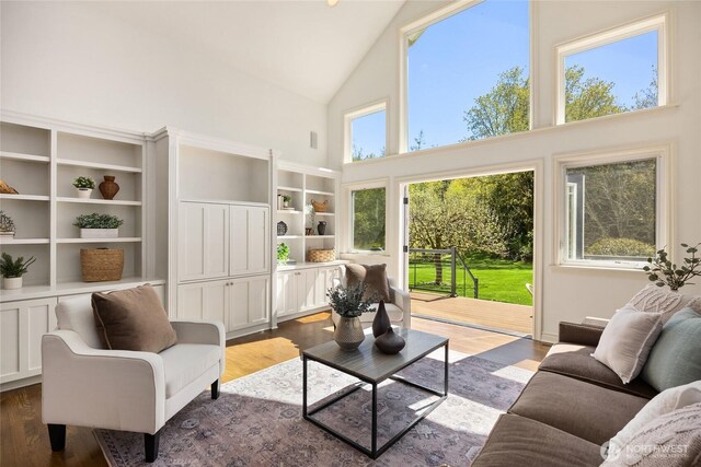 10117 NE Kitsap St, Bainbridge Island, WA 98110 - living room featuring high vaulted ceiling and dark wood-style flooring