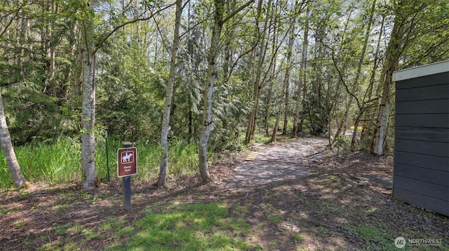 view of road featuring a view of trees