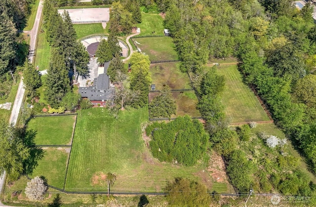 aerial view