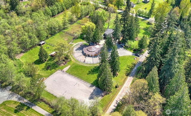 drone / aerial view