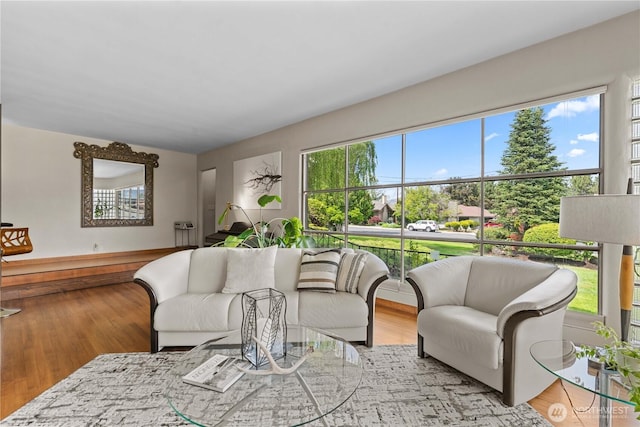 1423 Springwater Ave, Wenatchee, WA 98801 - living room featuring light wood-type flooring