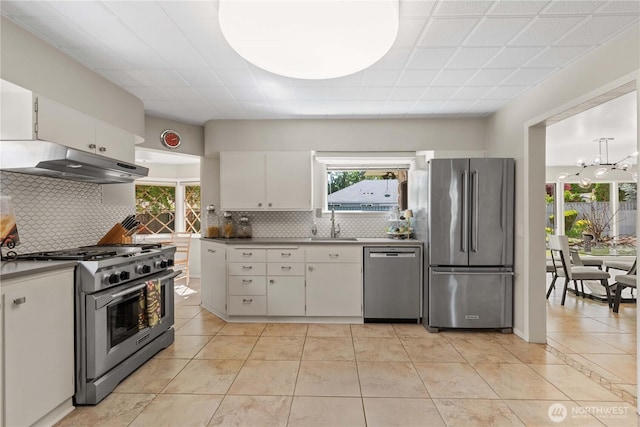 1423 Springwater Ave, Wenatchee, WA 98801 - kitchen featuring appliances with stainless steel finishes, under cabinet range hood, healthy amount of natural light, and tasteful backsplash