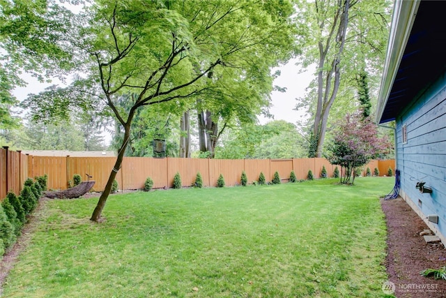 view of yard with a fenced backyard