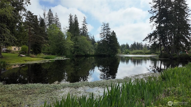 1451 Ridge Dr, Camano Island, WA 98282 - property view of water with a wooded view