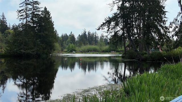 1451 Ridge Dr, Camano Island, WA 98282 - property view of water featuring a wooded view