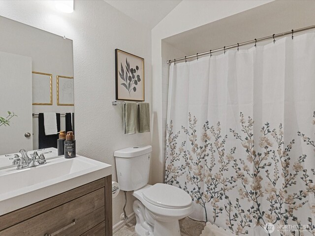 full bathroom featuring toilet, curtained shower, and vanity