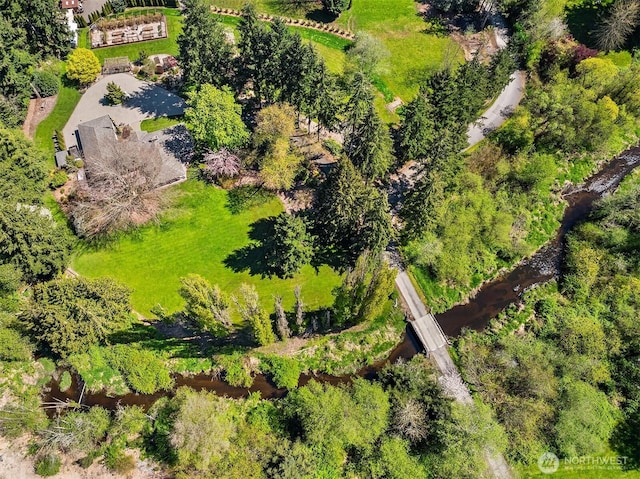 bird's eye view