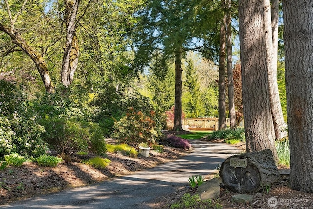 surrounding community with asphalt driveway
