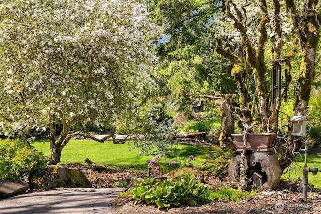 surrounding community featuring a yard