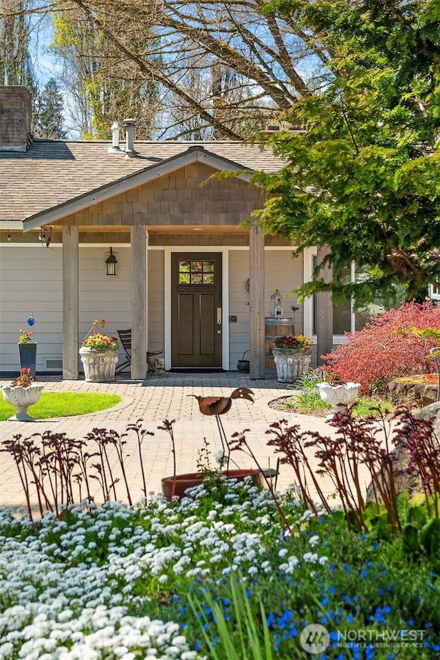 entrance to property with a porch, roof with shingles, and a chimney