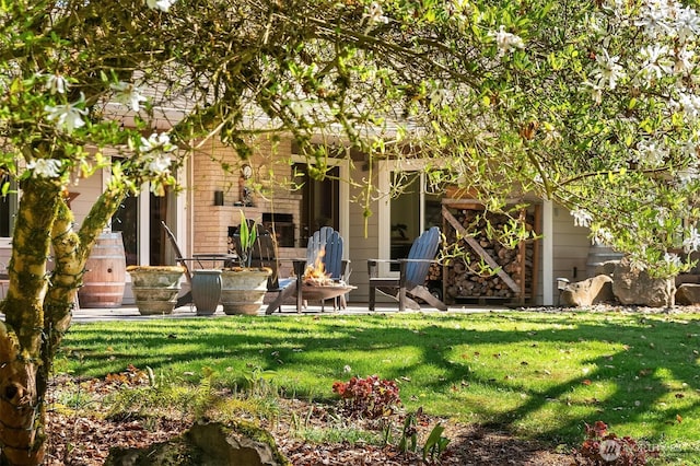 rear view of property with a yard