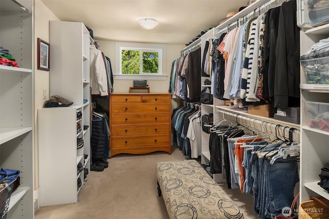 spacious closet featuring light carpet