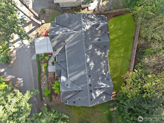 drone / aerial view