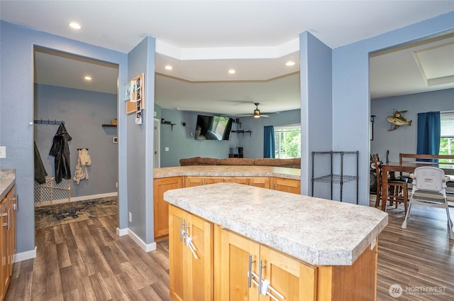 1332 SE Fireweed Rd, Shelton, WA 98584 - kitchen with light countertops, dark wood-style floors, a ceiling fan, recessed lighting, and light brown cabinetry