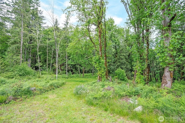 1332 SE Fireweed Rd, Shelton, WA 98584 - view of tree filled area
