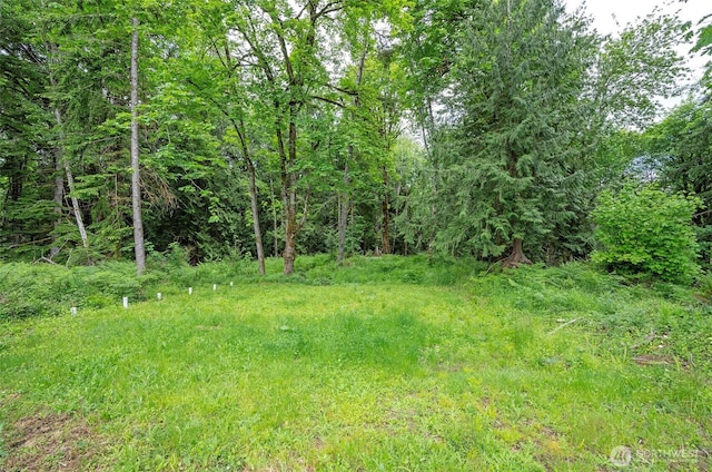 1332 SE Fireweed Rd, Shelton, WA 98584 - view of tree filled area