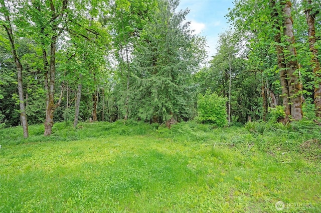 1332 SE Fireweed Rd, Shelton, WA 98584 - view of tree filled area