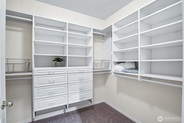 spacious closet with dark colored carpet