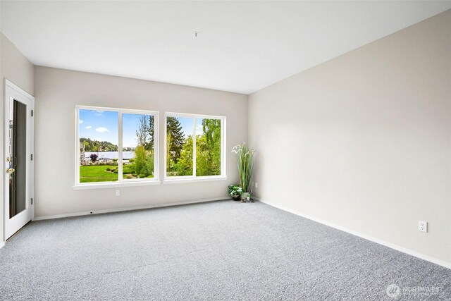 carpeted empty room with baseboards and a wealth of natural light