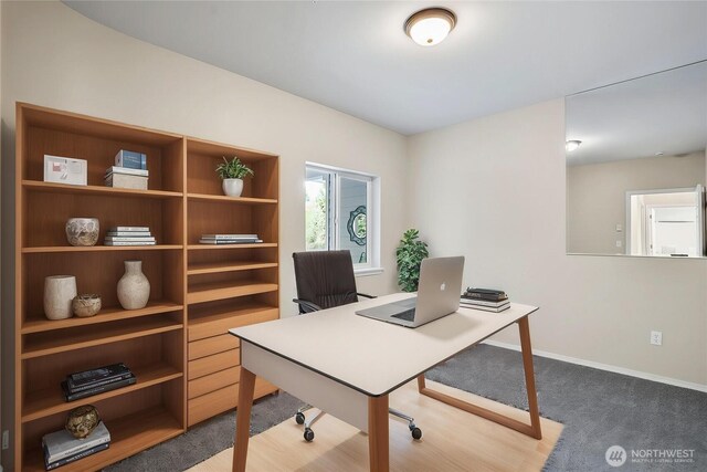 office with carpet floors and baseboards