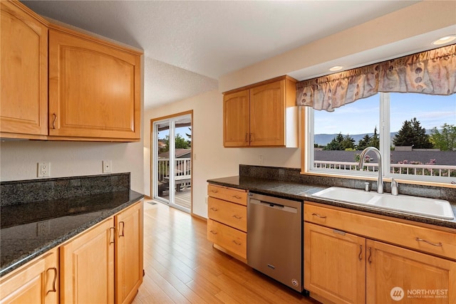 920 11th St NE, East Wenatchee, WA 98802 - kitchen featuring stainless steel dishwasher, a sink, and light wood-style flooring